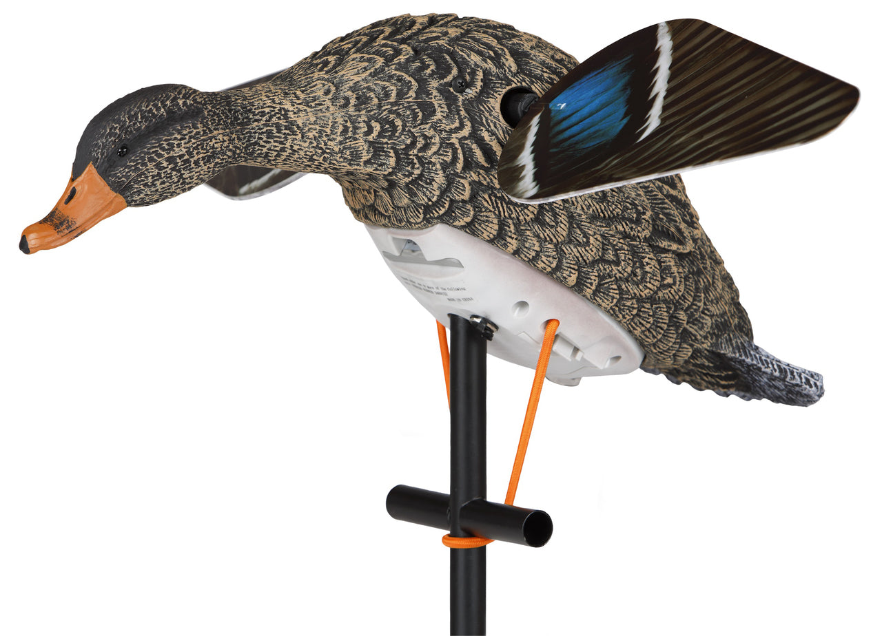 Lucky HD Hen Mallard Spinner | Lucky Duck Decoys