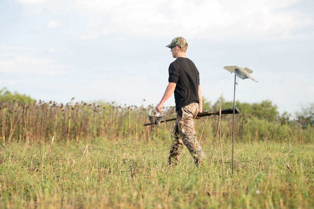 September Dove Hunting Prep