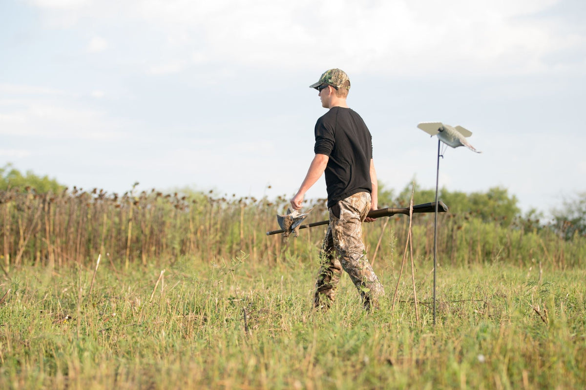 September Dove Hunting Prep