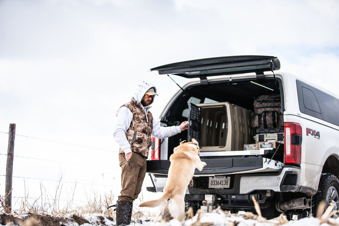 Why Quality Kennels Matter for Hunting Dogs: Safety, Transport, and Performance