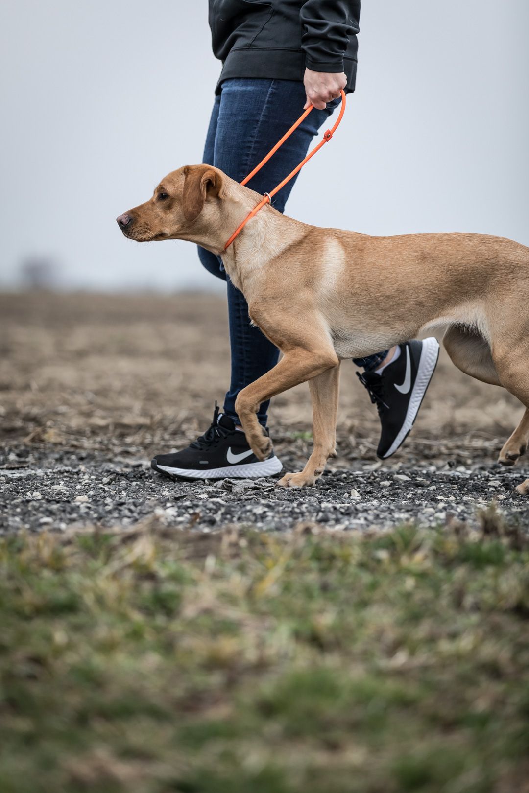 At Home Training