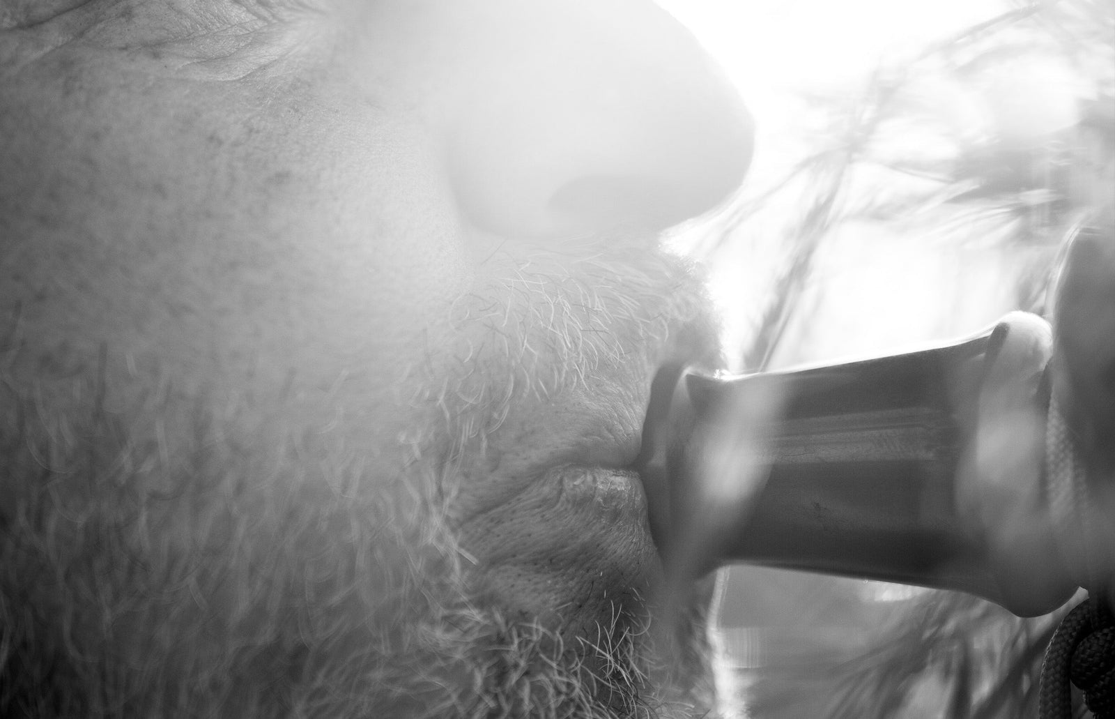 Early Season Duck Hunting Tips