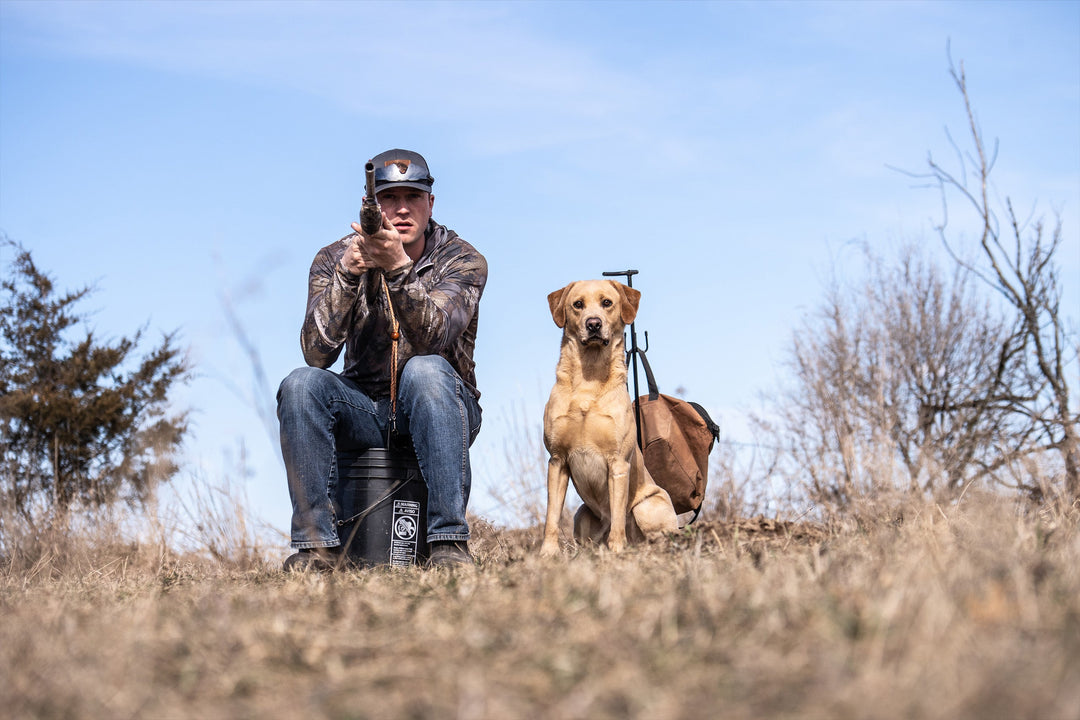 Training Your Dog to Master Long-Distance Retrieves