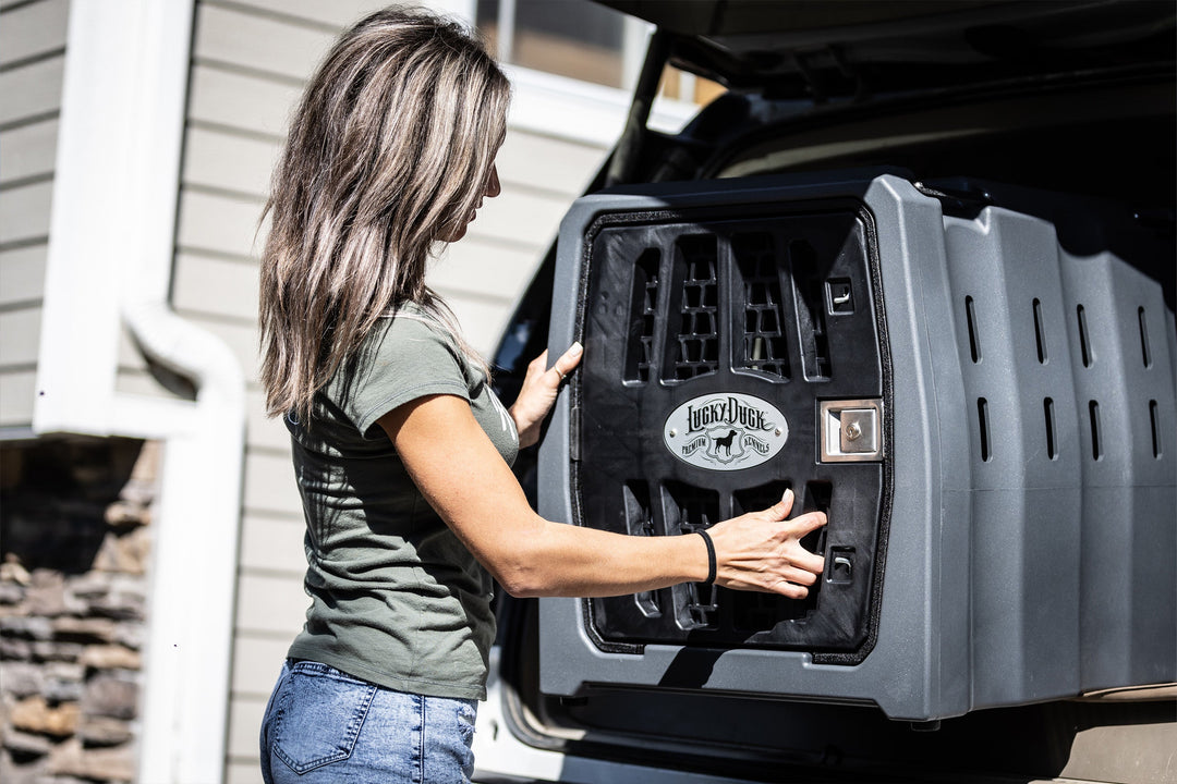 Why a High-Quality Kennel Is Essential for Traveling With Your Dog