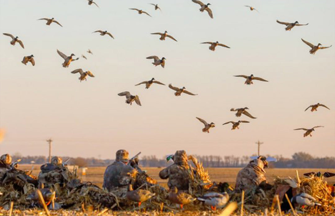 How to Build the Ultimate Duck Spread: Decoy Placement Tips That Work Everywhere