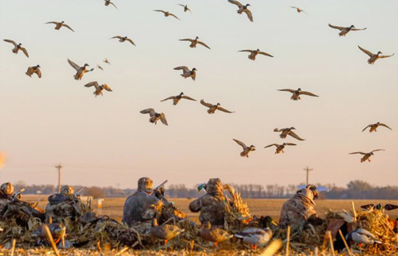 How to Build the Ultimate Duck Spread: Decoy Placement Tips That Work Everywhere