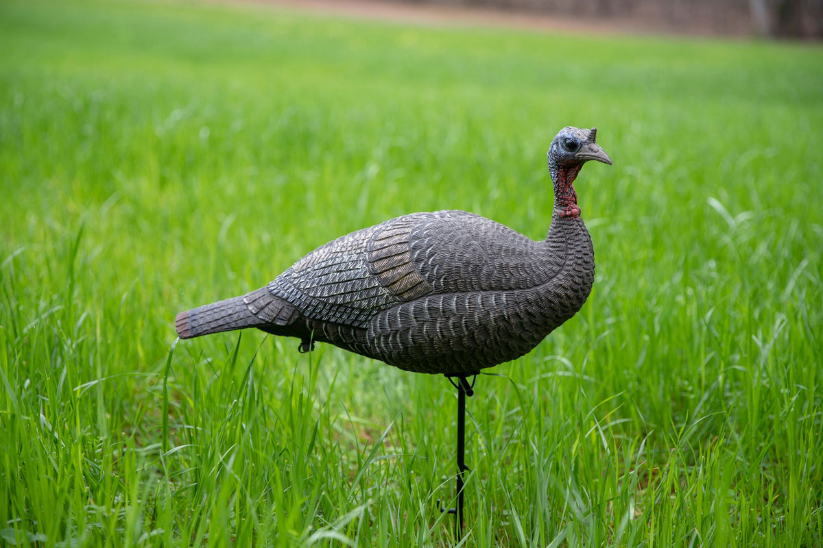 Phase Three - Stages of Decoys in the Spring Season