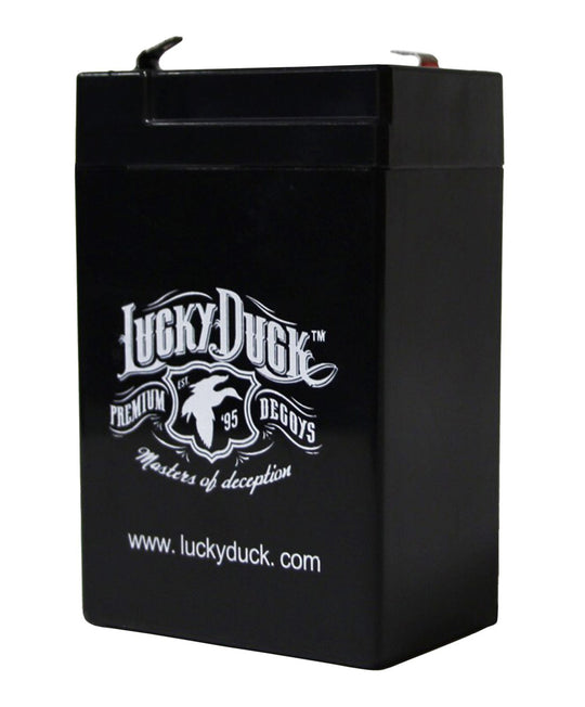 6V Rechargeable Battery