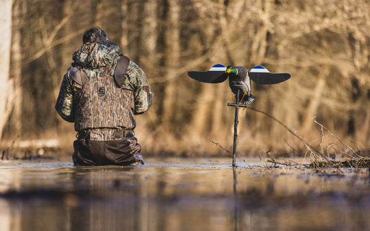 Lucky Pair II