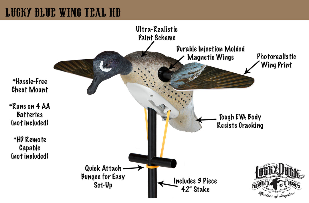 Lucky Blue Wing Teal HD
