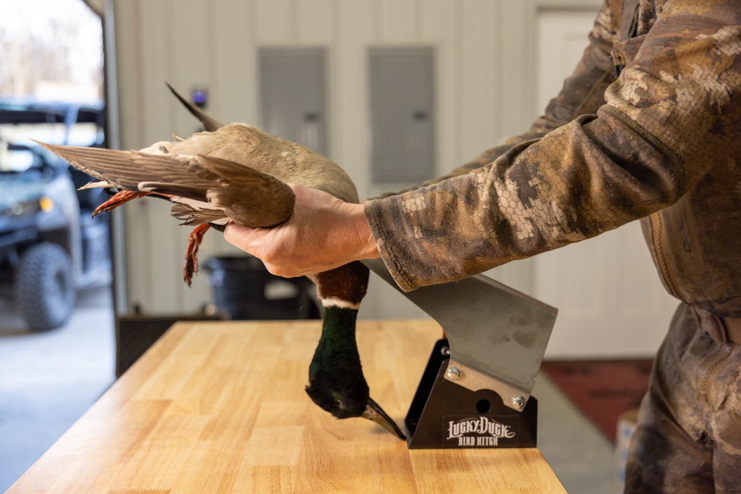 BirdHitch Table Mount