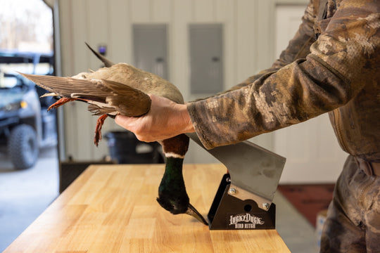 BirdHitch Table Mount