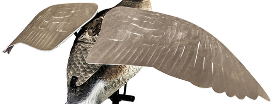 Canada Goose Flapper Wings