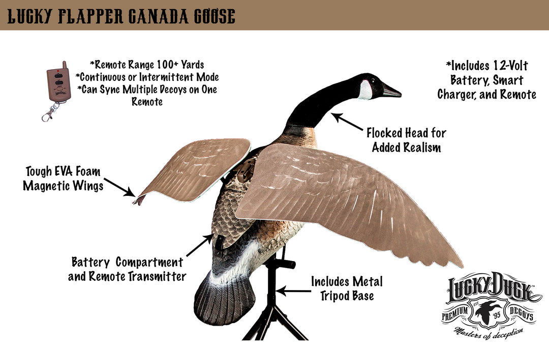 Lucky Flapper Canada Goose