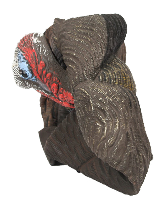 Lucky HD Collapsible Field Strutter