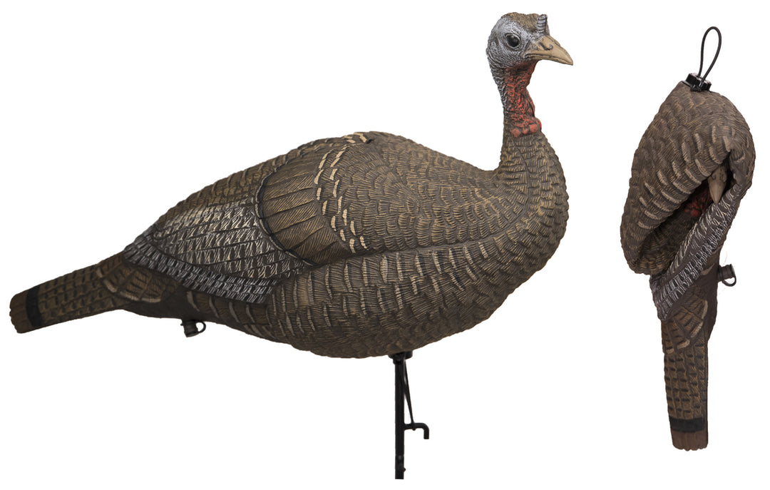Lucky HD Collapsible Hen