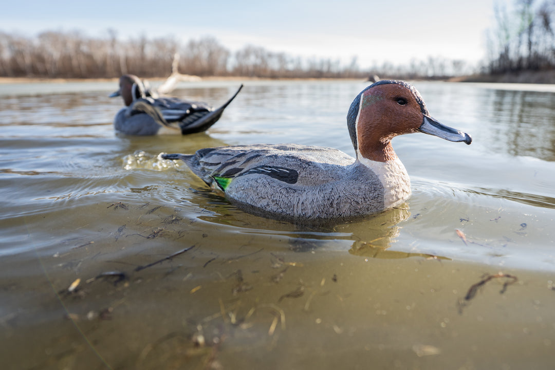 Lucky HDi Super Swimmer 2.0 MAX - Pintail Drake