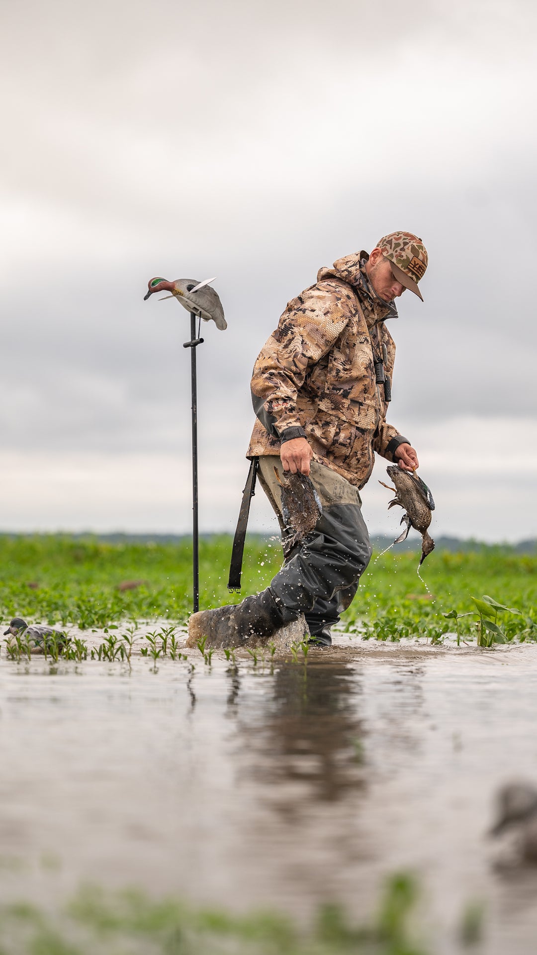 Lucky Teal HD