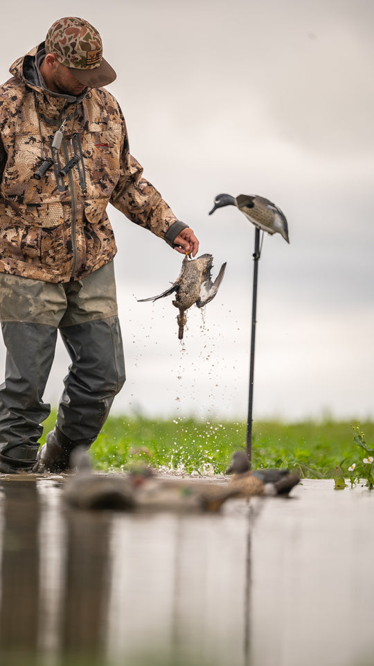 Lucky Blue Wing Teal HD