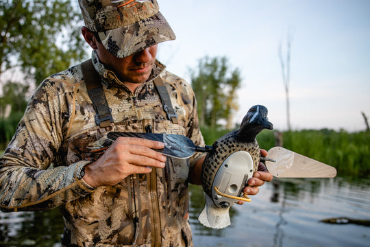 Lucky Blue Wing Teal HD