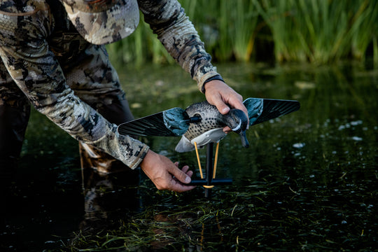 Lucky Blue Wing Teal HD