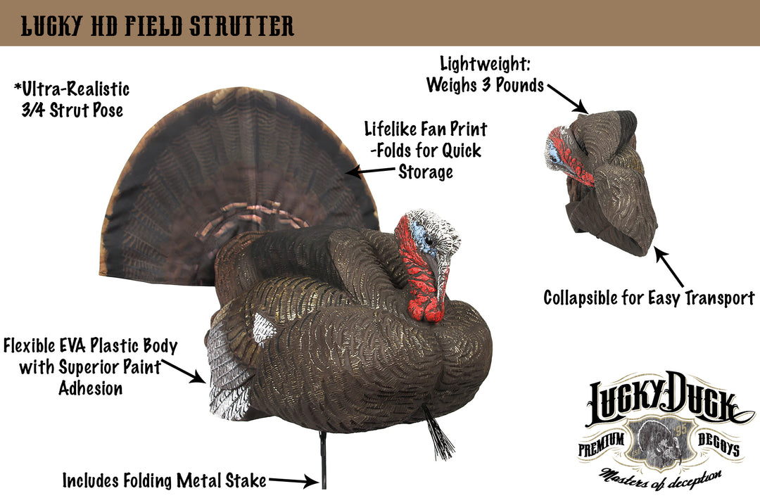 Lucky HD Collapsible Field Strutter