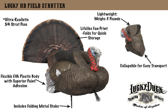 Lucky HD Collapsible Field Strutter