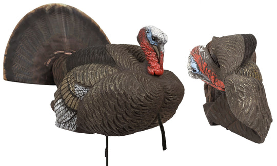 Lucky HD Collapsible Field Strutter