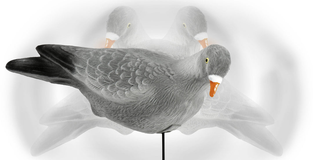 Pigeon 3 Pack