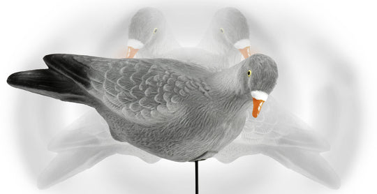 Pigeon 3 Pack
