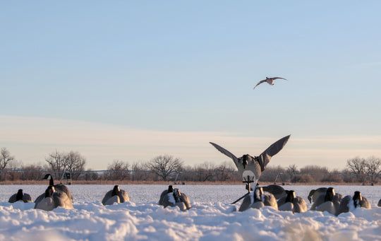 Super Goose Flapper HDi