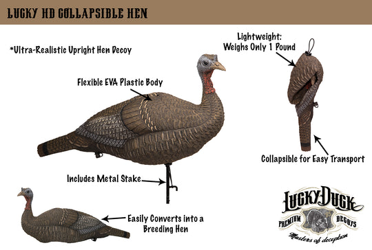 Lucky HD Collapsible Hen