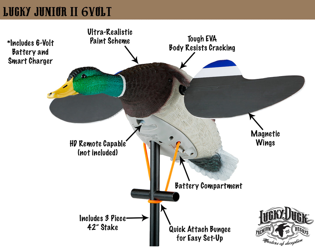 Lucky Junior II 6V