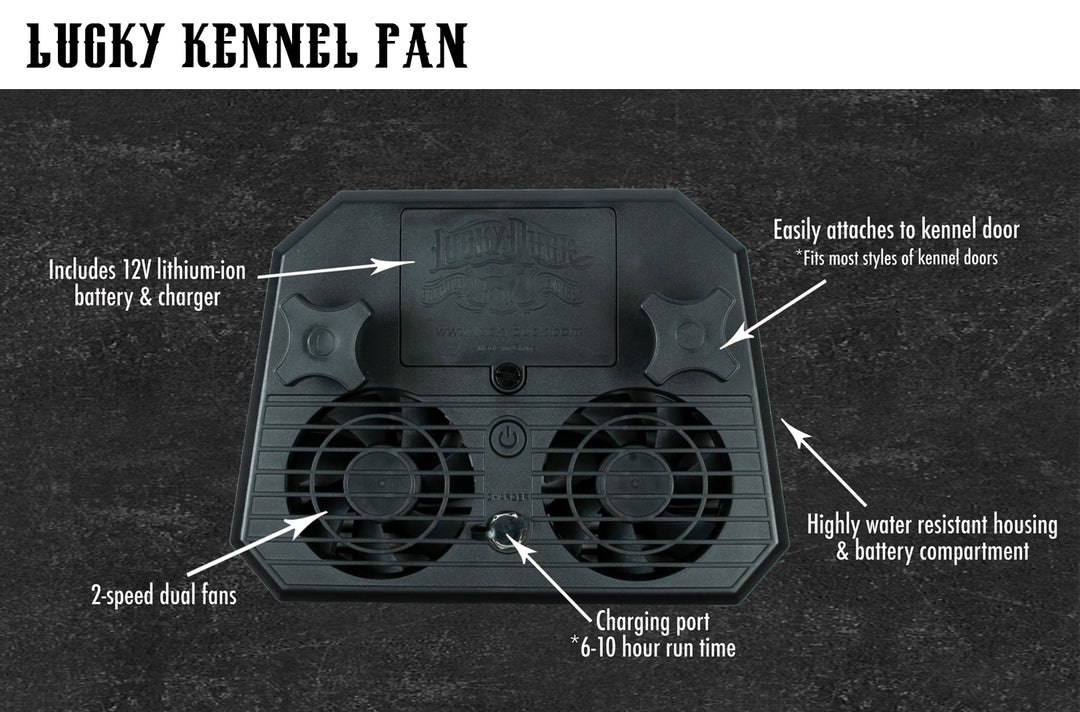 Lucky Kennel Fan