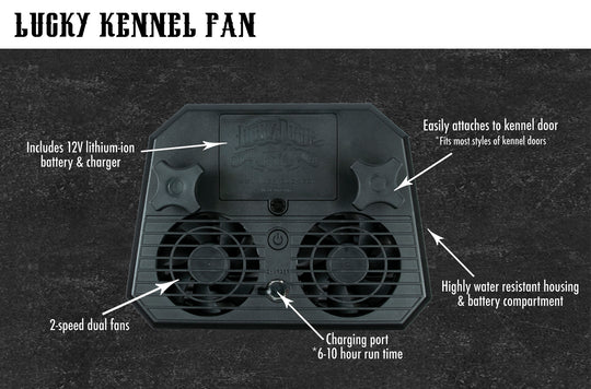Lucky Kennel Fan