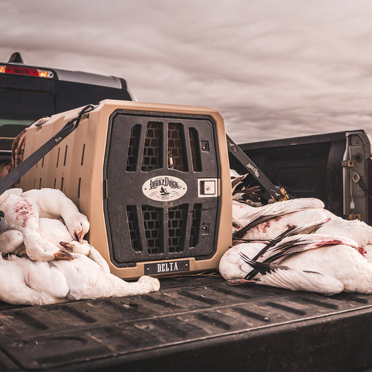 #partnership-series_delta-waterfowl_size_intermediate