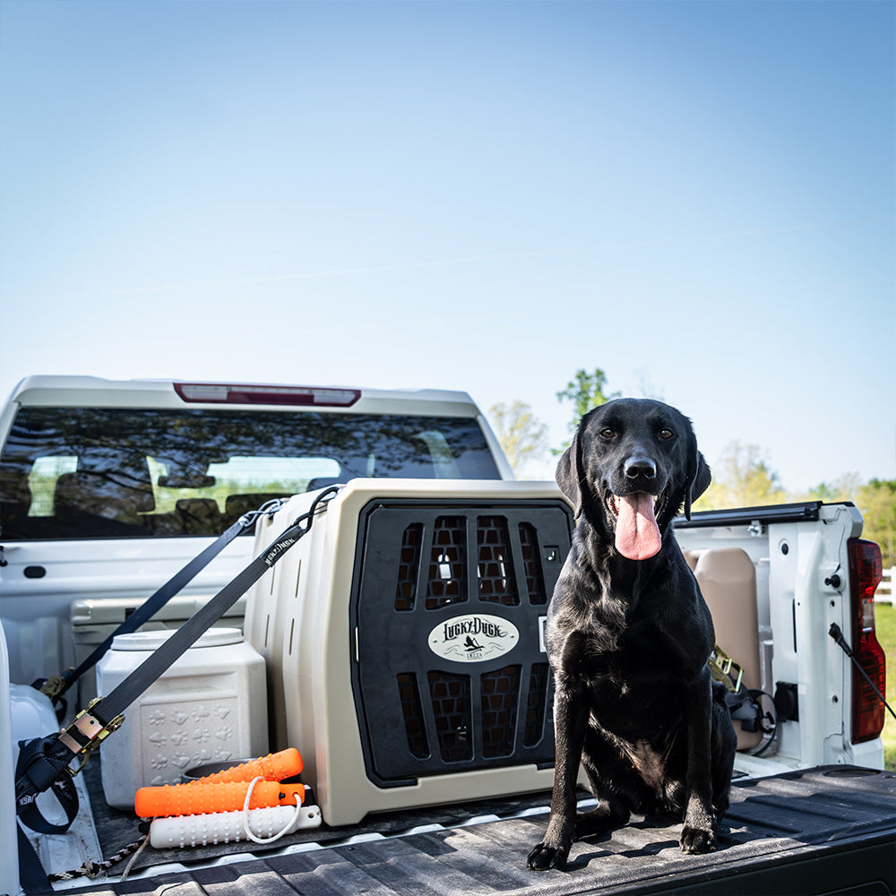 #partnership-series_delta-waterfowl_size_intermediate