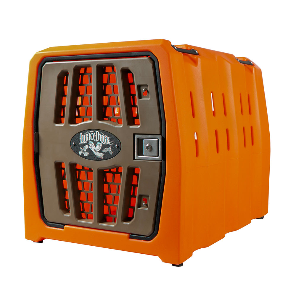 #color_upland-orange_size_intermediate