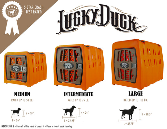 #color_upland-orange_size_intermediate