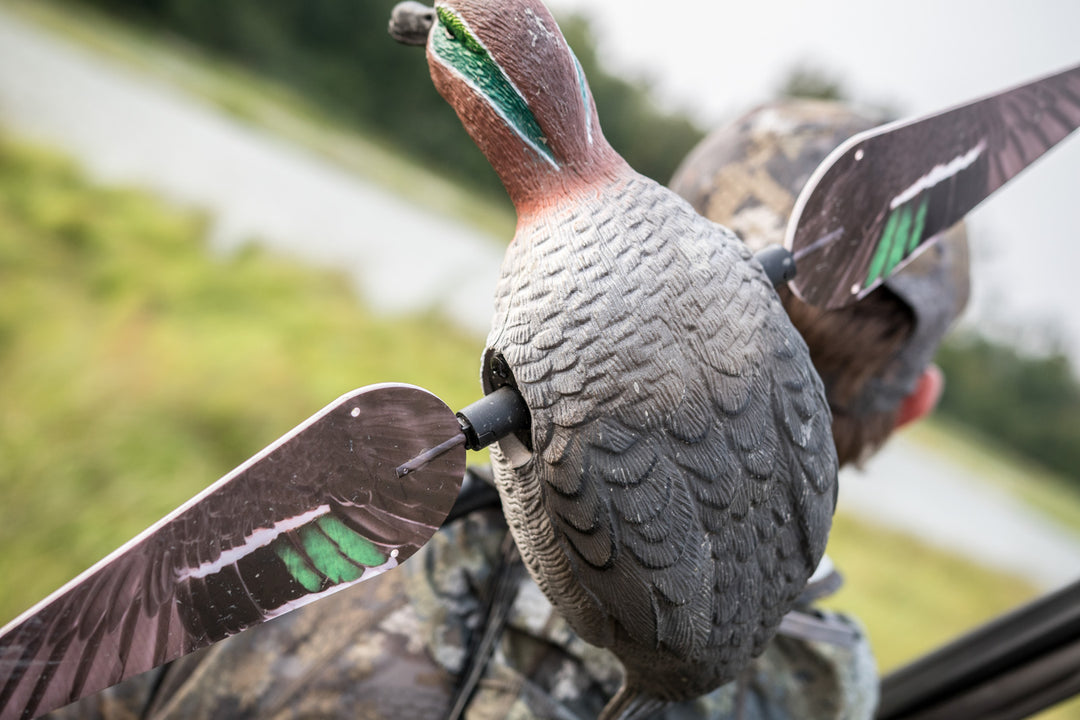 Lucky Teal HD