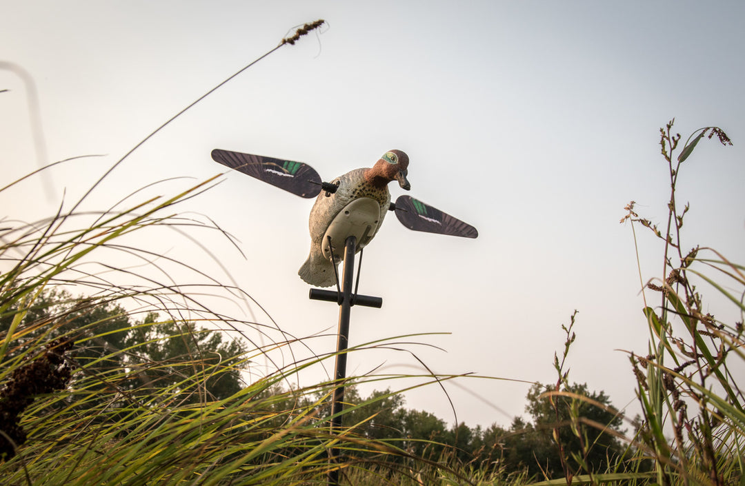 Lucky Teal HD