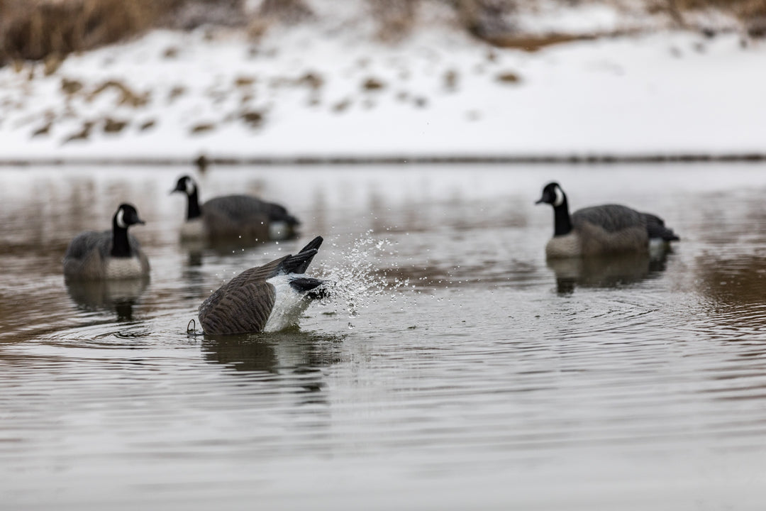 Lucky HDi Agitator 2.0 - Canada Goose