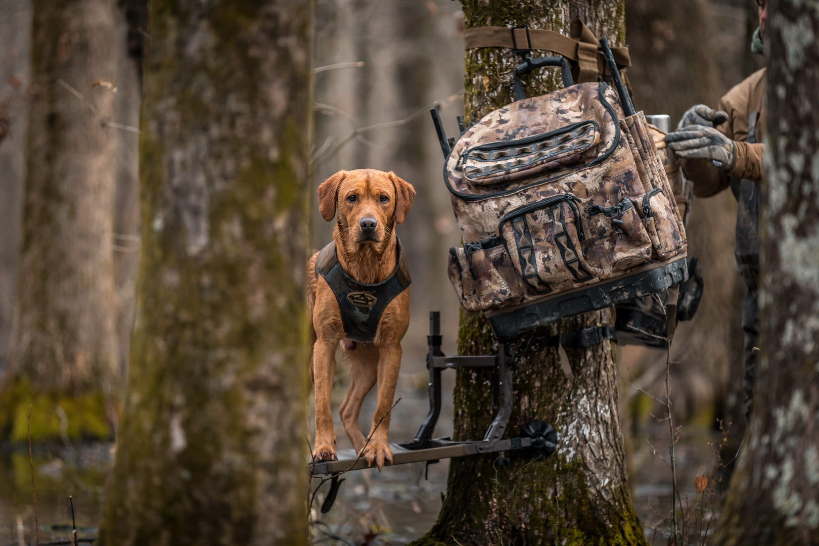4 Slot Motion Backpack, Optifade Marsh – Lucky Duck