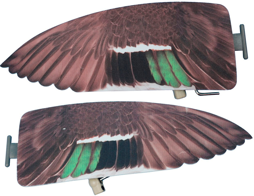 Lucky Teal Flapper HD Wings
