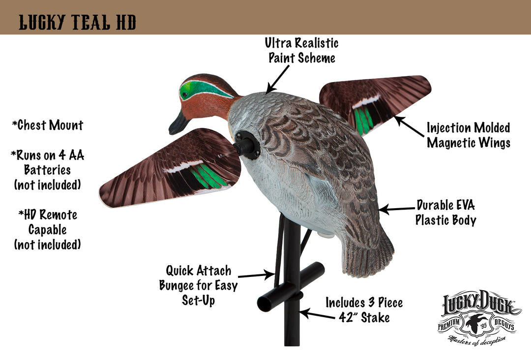 Lucky Teal HD