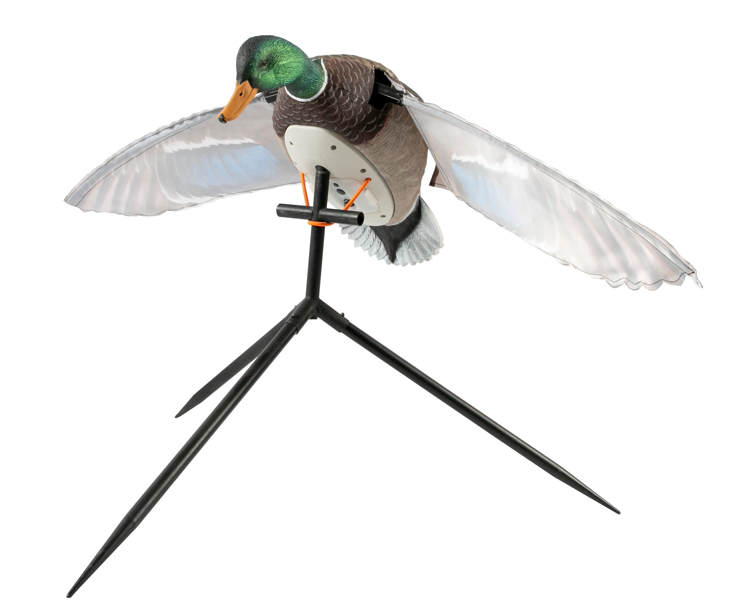 Super Flapper HDi 2.0 – Drake Mallard | Lucky Duck Decoys