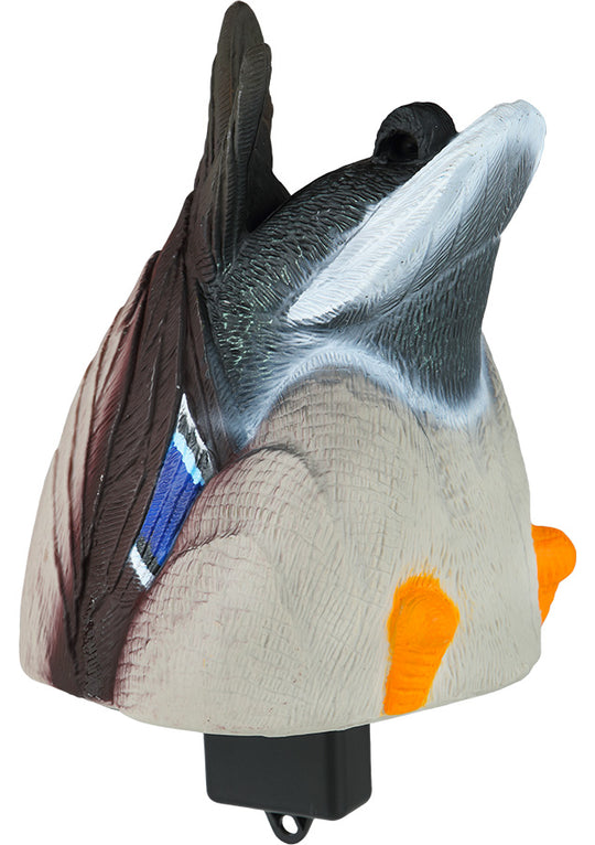 Quiver Duck Butt HD