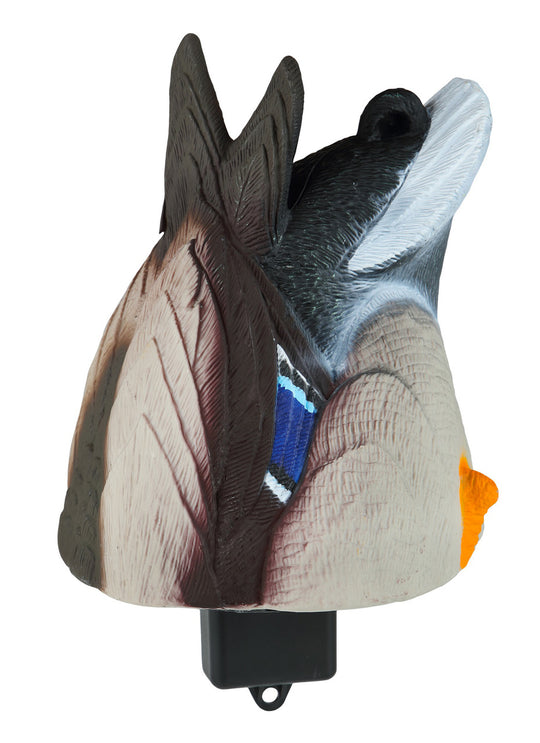 Quiver Duck Butt HD