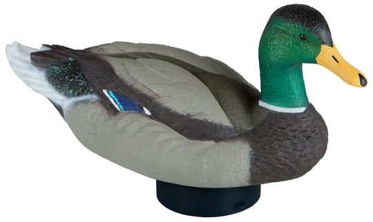 Quiver Duck HD