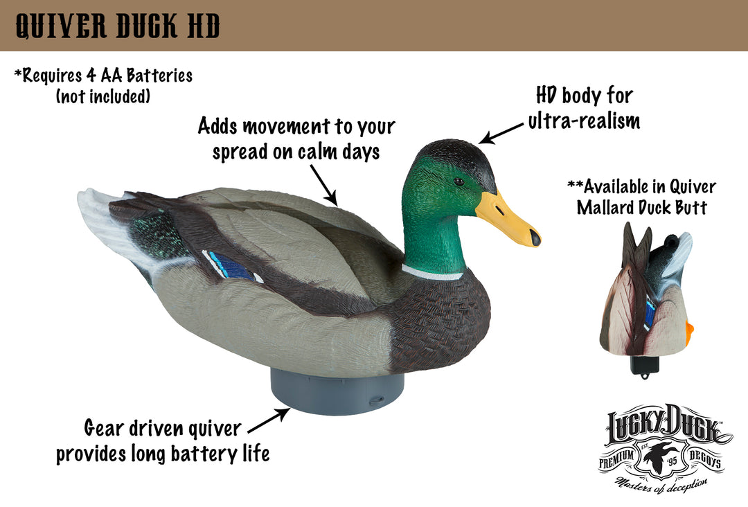 Quiver Duck HD
